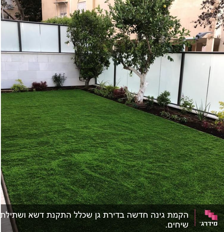 דשא ירוק ועץ בגינה מטופחת